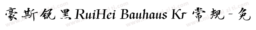 豪斯锐黑RuiHei Bauhaus Kr 常规字体转换